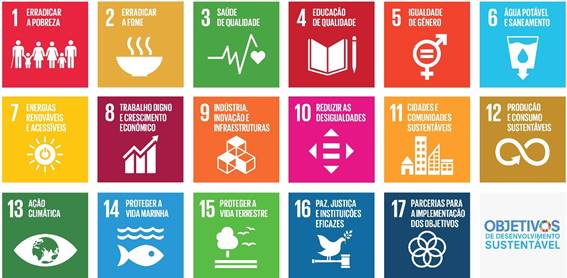 Agenda 2030 - Um roteiro para a sustentabilidade  APEE